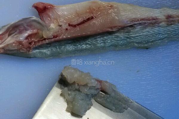 马鲛鱼丸汤的做法图解4