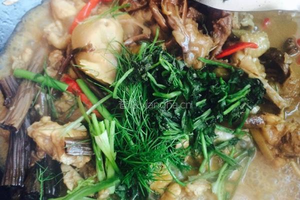 茶树菇烧鸡肉的做法图解8