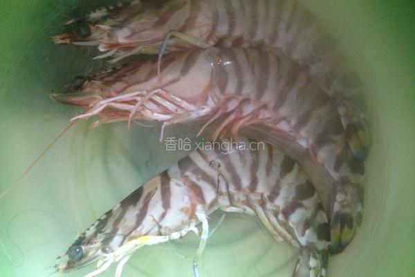 煎虾母的做法图解1