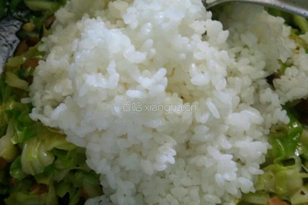 包菜炒饭的做法图解6