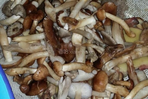 清炒野生菌的做法图解1