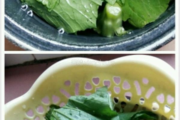芥菜豆腐肉未汤的做法图解2