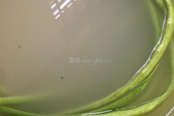豇豆角炒腐竹的做法图解2
