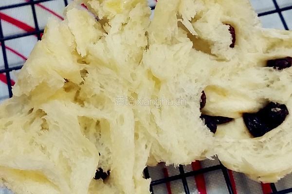 淡奶油葡萄乾餐包的做法图解9