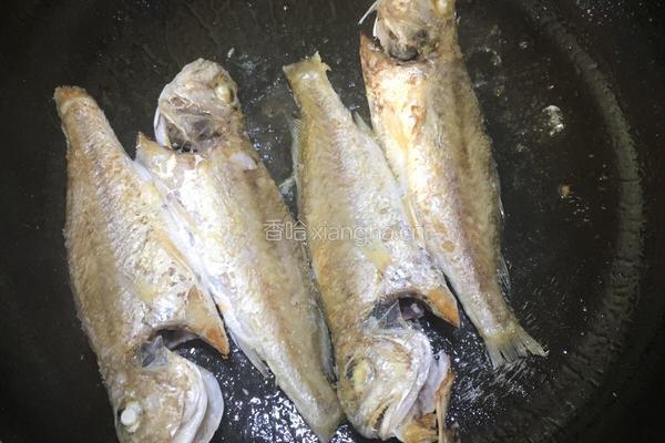 划鱼煲的做法图解3