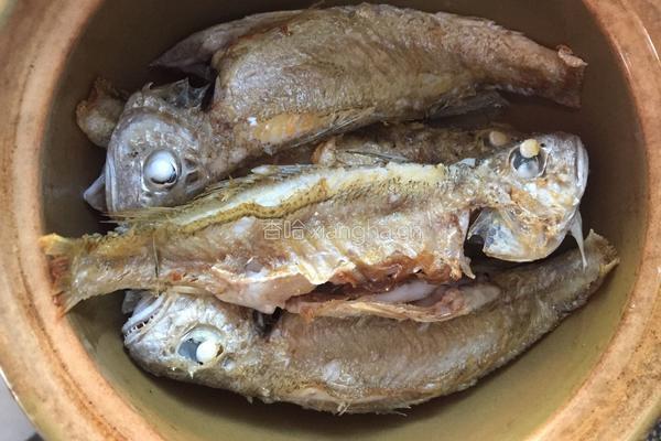 划鱼煲的做法图解4