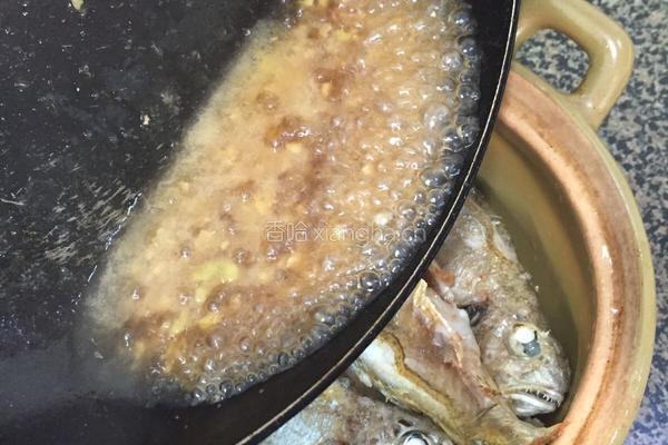 划鱼煲的做法图解7