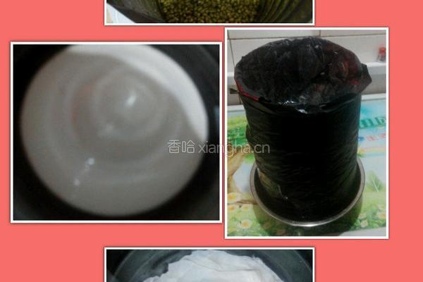 自制豆芽(环保版)的做法图解4