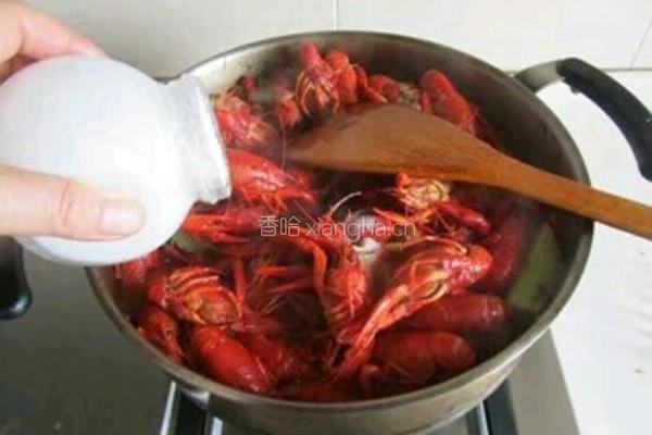 麻辣龙虾的做法图解12