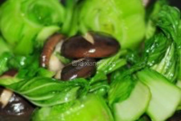 香菇青菜完美搭配的做法图解7