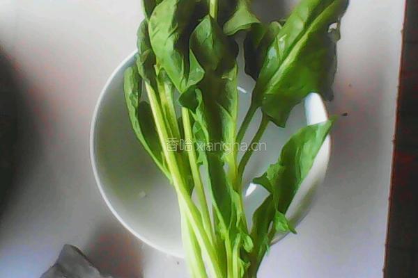 菠菜鸡蛋卷的做法图解1