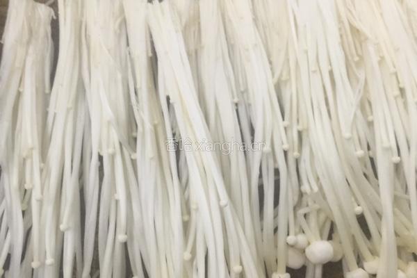 孜然金菇肥牛卷的做法图解1