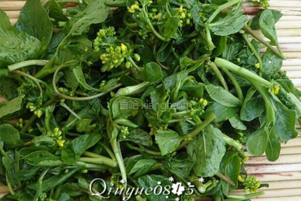 清炒小菜芯的做法图解1