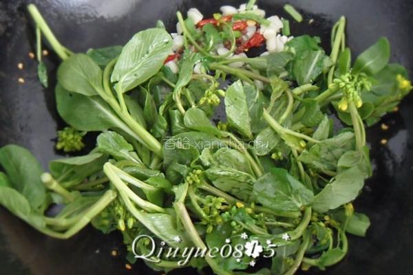 清炒小菜芯的做法图解3