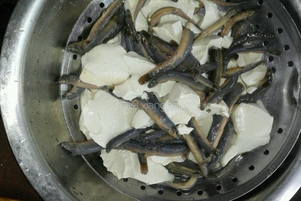 豆花泥鳅的做法图解4