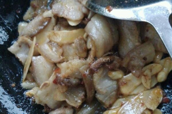 仔姜回锅肉的做法图解4