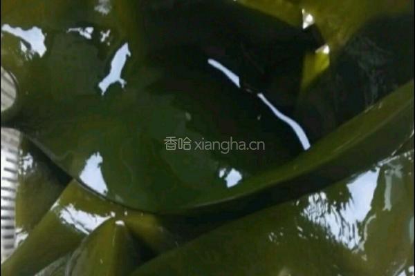 凉拌海带的做法图解1