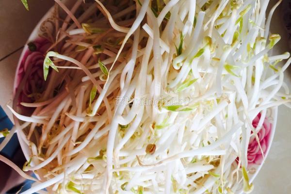 酸辣豆芽菜的做法图解1