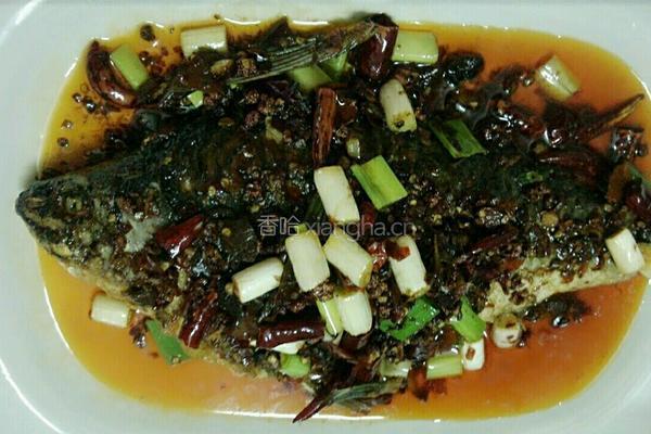 干烧鲫鱼的做法图解5