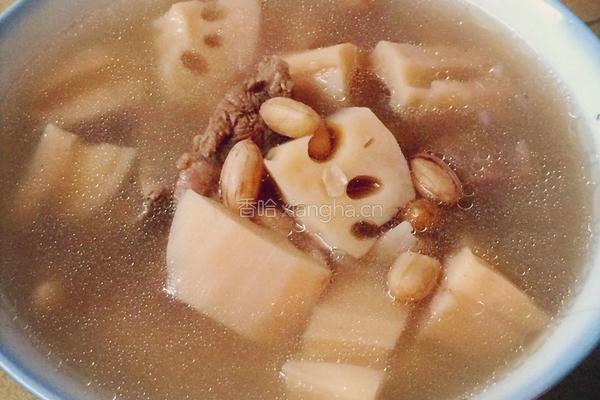 莲藕龙骨汤的做法图解6