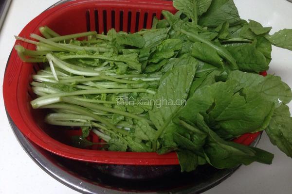 蒜蓉萝卜菜的做法图解2
