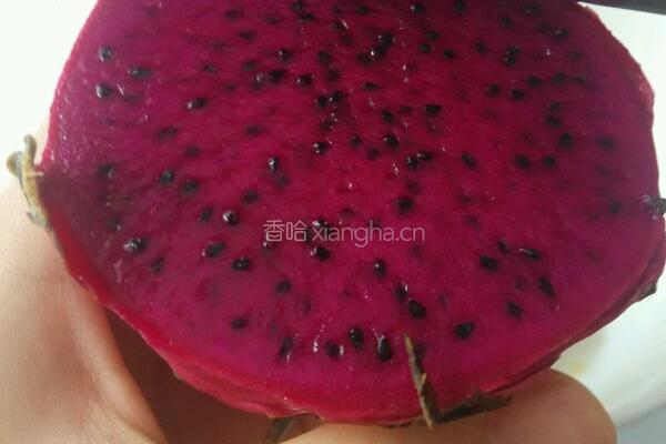 酸奶水果沙拉的做法图解9