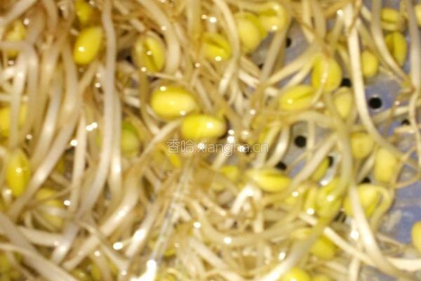 豆芽土豆面的做法图解3