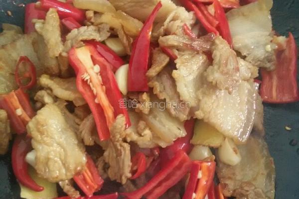 湘式小炒五花肉的做法图解4