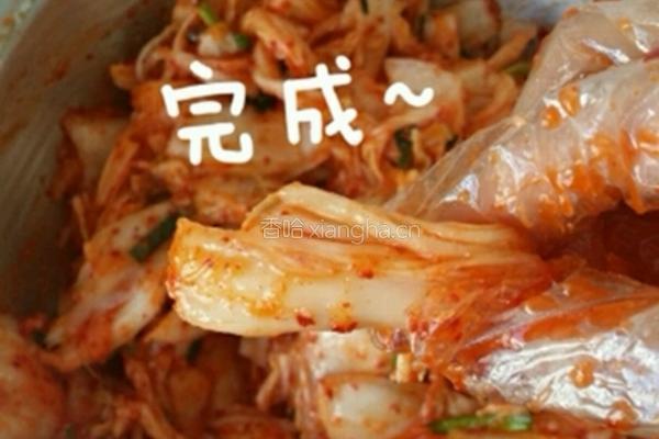 韩国泡菜的做法图解19