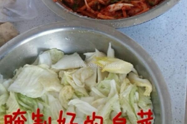 韩国泡菜的做法图解17