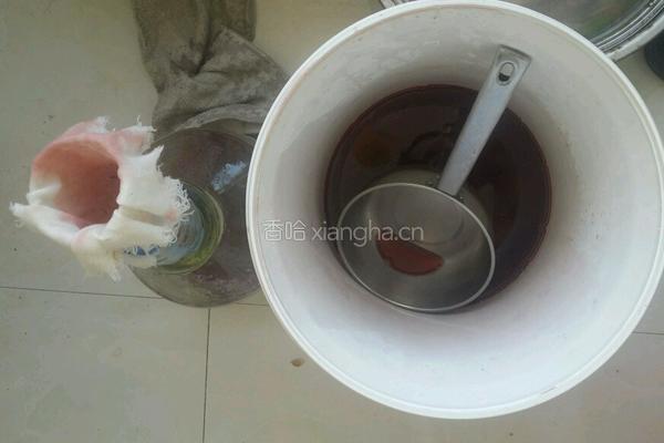 自酿樱桃酒的做法图解5