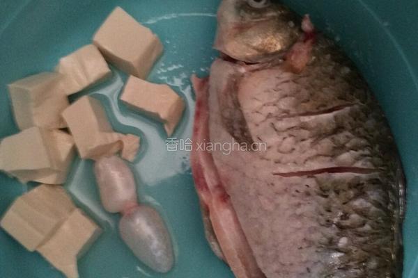 鲫鱼豆腐汤的做法图解1