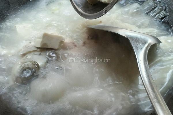 鲫鱼豆腐汤的做法图解4