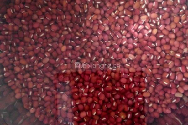 红豆沙的做法图解1