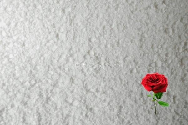西米芝麻花生卷的做法图解3