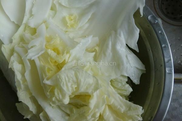 家常版洛阳白菜的做法图解2