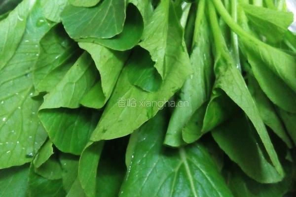 青菜瘦肉汤的做法图解1