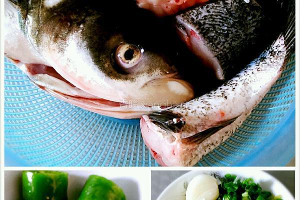 花鲢鱼炖豆腐的做法图解1