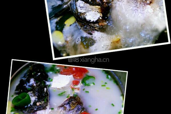 花鲢鱼炖豆腐的做法图解3