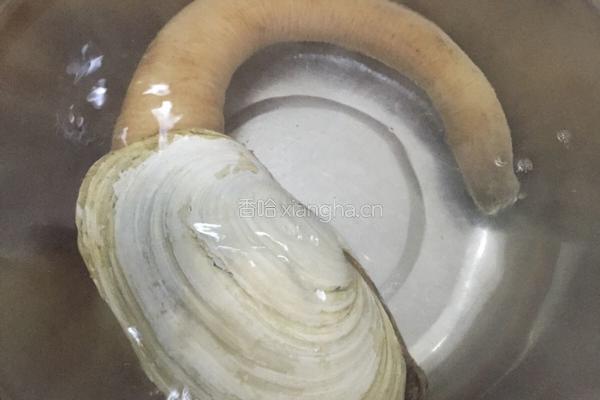 刺生象拔蚌的做法图解1
