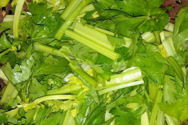 芹菜炒猪肉的做法图解2