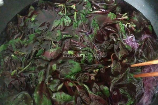 凉拌苋菜粉丝的做法图解2