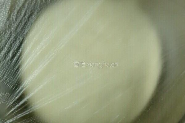 香菇猪肉包子的做法图解5
