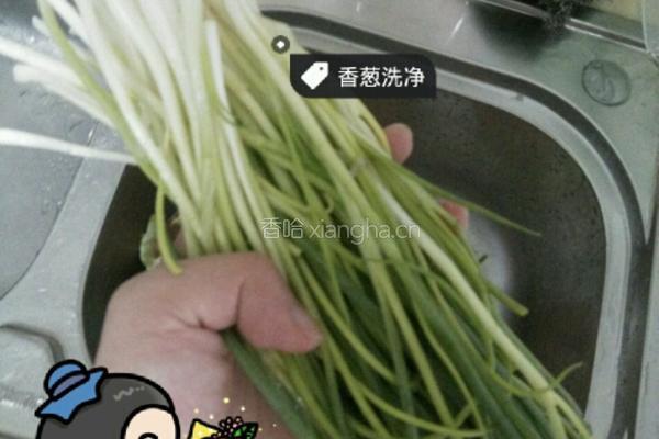 香葱猪肉手工水饺的做法图解1