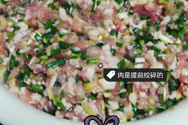 香葱猪肉手工水饺的做法图解3