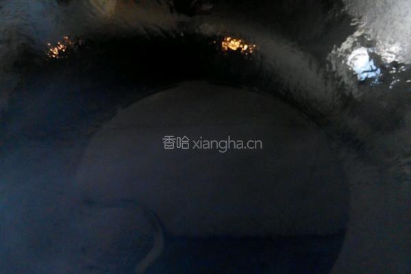 鸡蛋苦瓜片的做法图解3