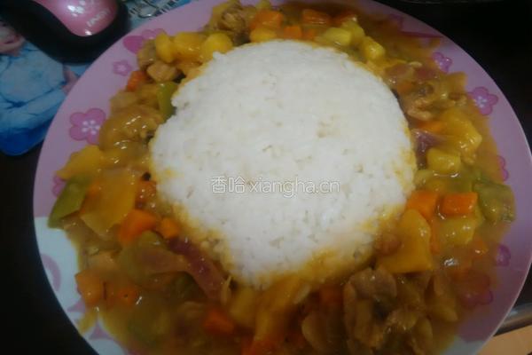 咖喱鸡肉米饭的做法图解9