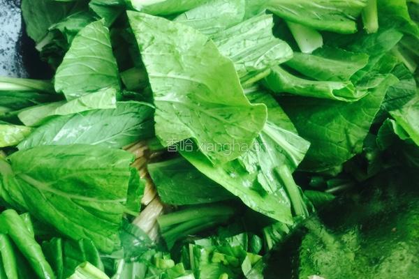 腐竹炒菜苔的做法图解4