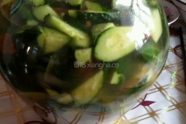自制俄式酸黄瓜的做法图解5