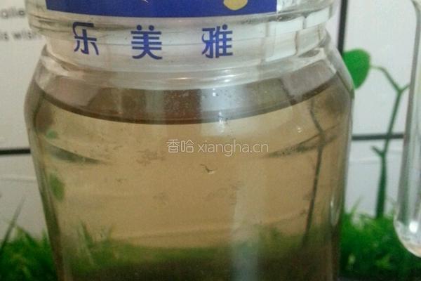 西柚陈皮双梅茶的做法图解6